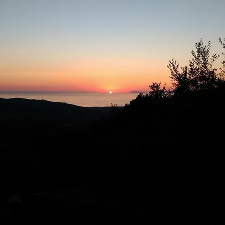Tenuta Della Torre *
